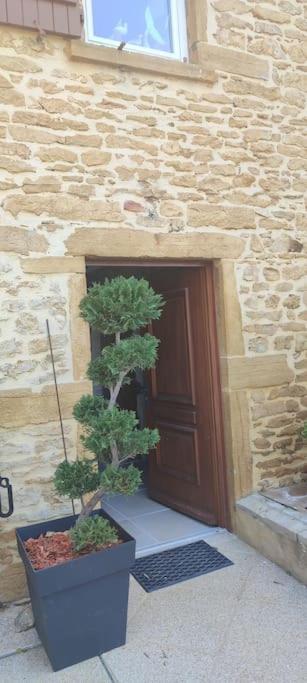 Le Gite Des Pierres Dorees Marcilly-d'Azergues Exterior photo